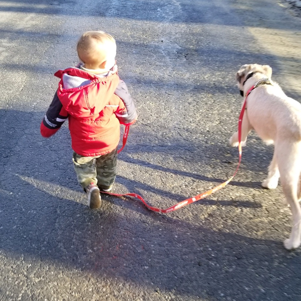 Meet your Posher, Shaena